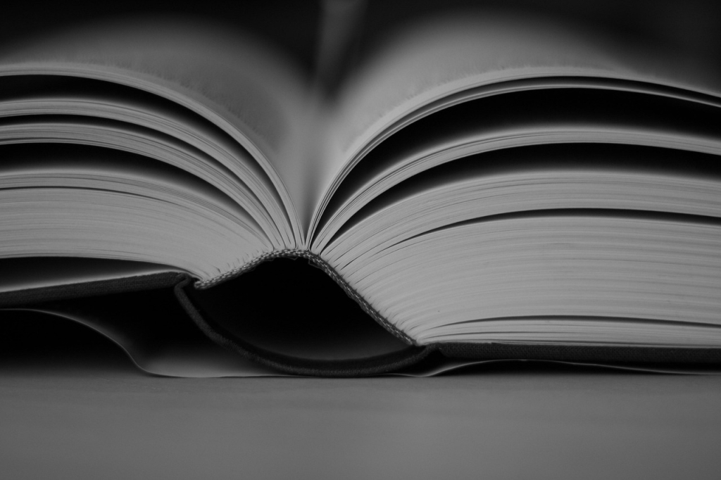 Navigating the Landscape of Journalism Scholarships and Fellowships