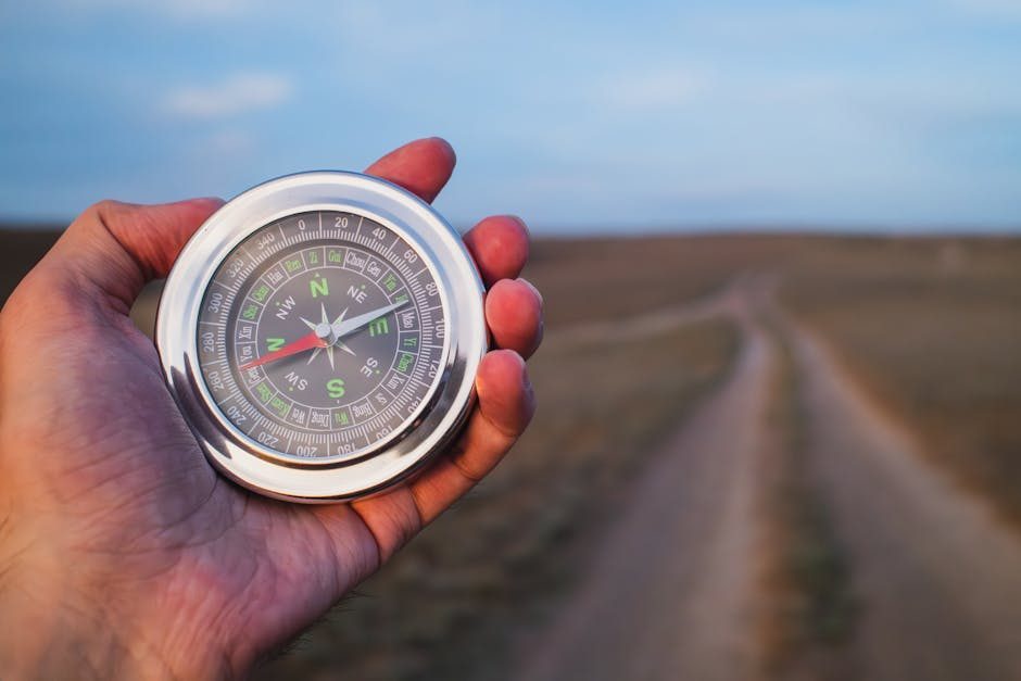 Navigating the Landscape of Media Fellowships: A Comprehensive Guide