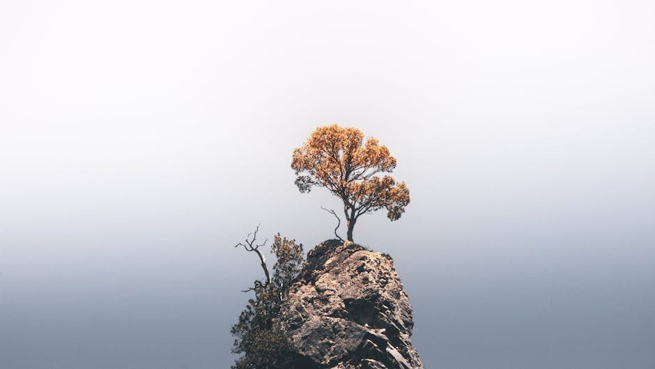 The Evolving Landscape of HigherEdLeadership: Profiles in Innovation and Resilience