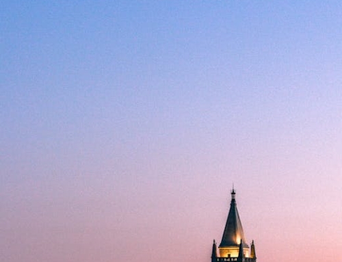 Beyond the Ivory Tower: Illuminating the Leadership of Academia’s Finest