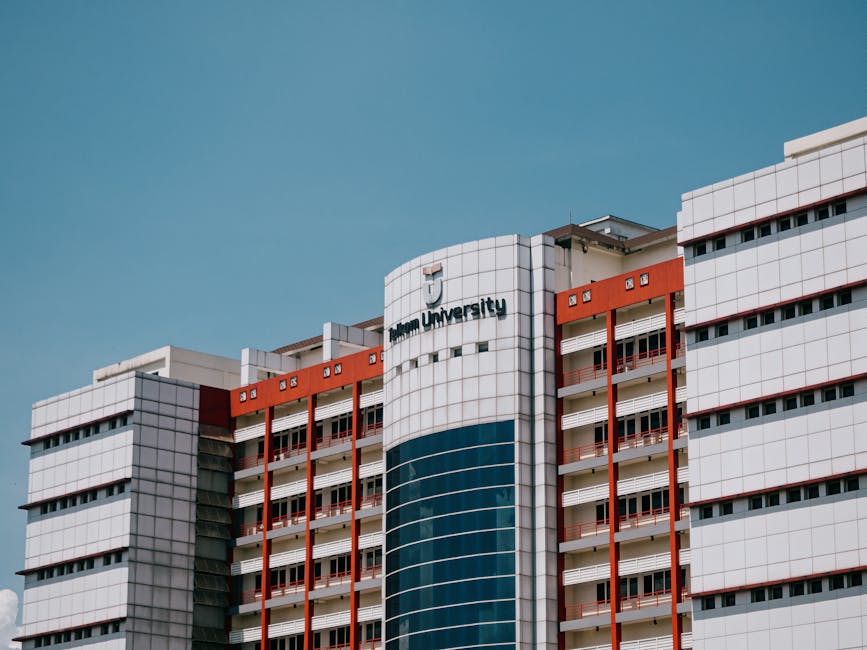 Adaptive Leadership: Navigating Complexity in Higher Education