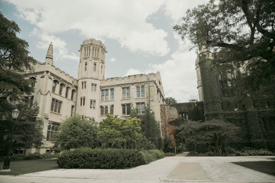 Beyond the Ivory Tower: Unveiling the Visionaries Shaping Higher Education