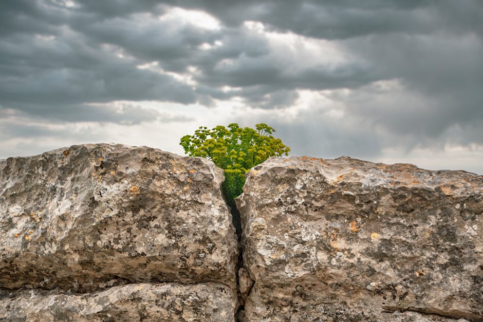 The Evolving Landscape of HigherEdLeadership: Profiles in Innovation and Resilience