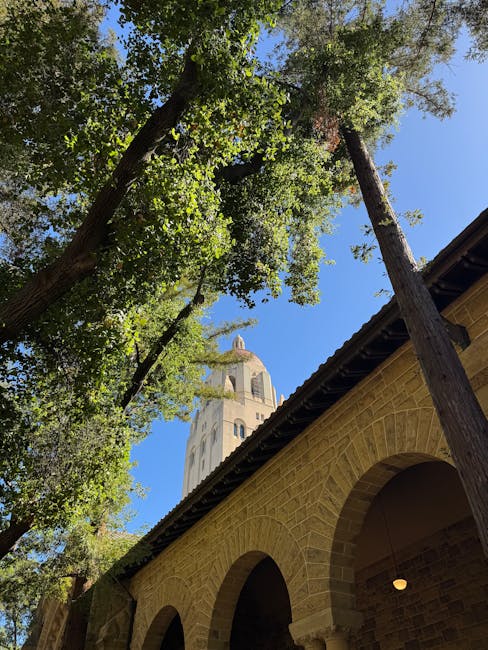 Beyond the Ivory Tower: Unveiling the Inspiring Stories of University Leaders