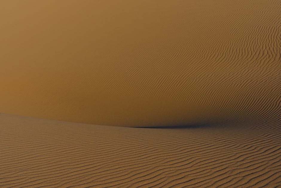 The Shifting Sands of Trust: Navigating Authenticity in an AI-Driven Content Landscape
