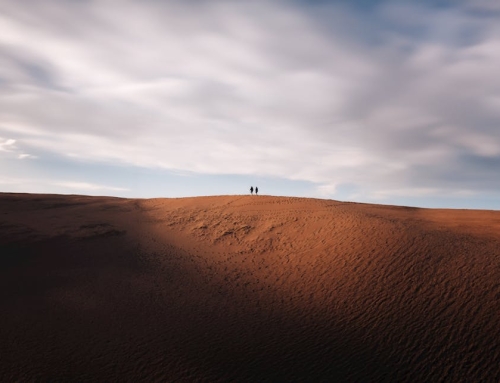 The Shifting Sands of Trust: Navigating Authenticity in an AI-Driven Content Landscape