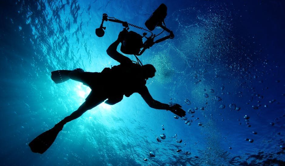 Unlocking Opportunities: A Deep Dive into Niche Media Fellowships