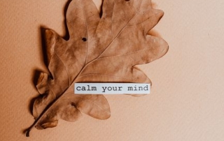 Rewire Your Mind: Master Neuroplasticity for Real Life Change