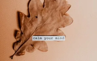 Rewire Your Mind: Master Neuroplasticity for Real Life Change