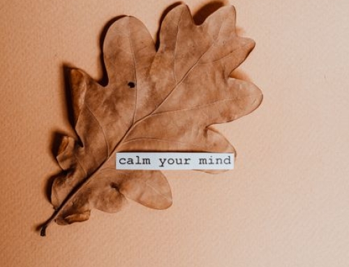 Rewire Your Mind: Master Neuroplasticity for Real Life Change