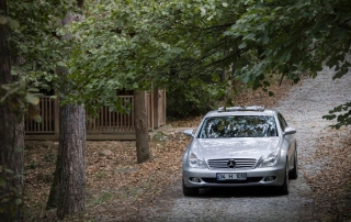 Mercedes-Benz in Dali: Where Luxury Meets Natural Splendor
