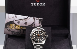 Tudor's Crossroads: Predicting the Brand's Next Big Move