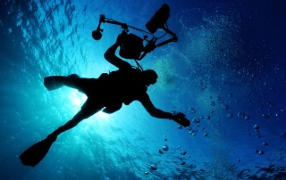 Media Fellowships: Your Guide to Funded, Deep-Dive Journalism