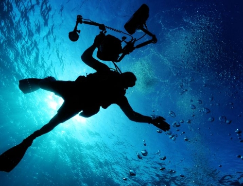 Media Fellowships: Your Guide to Funded, Deep-Dive Journalism